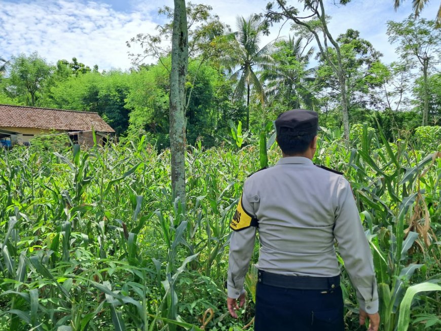 Tak Hanya Jaga Kamtibmas, Polres Malang Ikut Kawal Sektor Pertanian